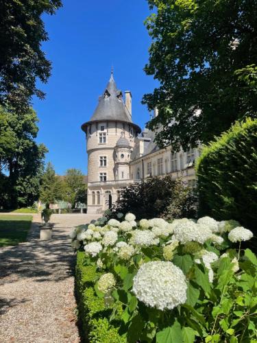Montigny-sur-Aube Bed & Breakfast | Château de Montigny-sur-Aube