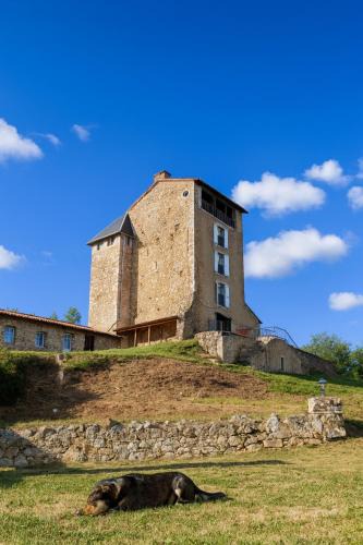 Montegut Bed & Breakfast | Château Montegut Hébergement atypique