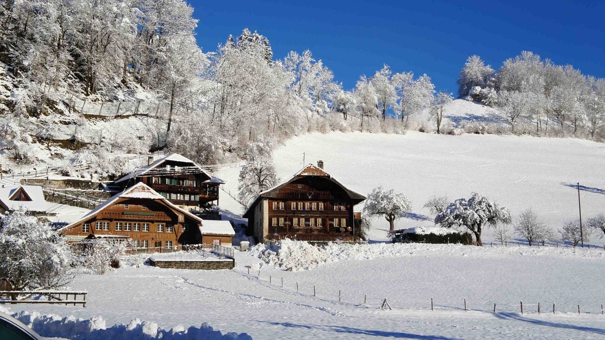 Charmey Ski Chalet | Loft under the old beams of the historic chalet