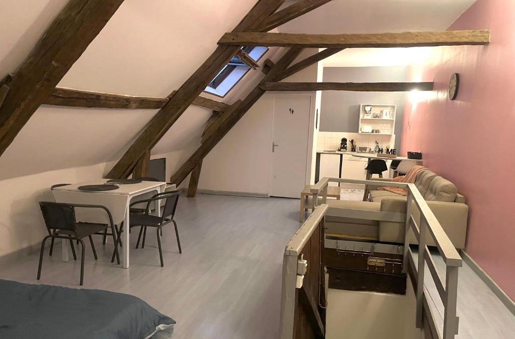 Chablis Apartment | Chablis: grand studio en plein centre ville