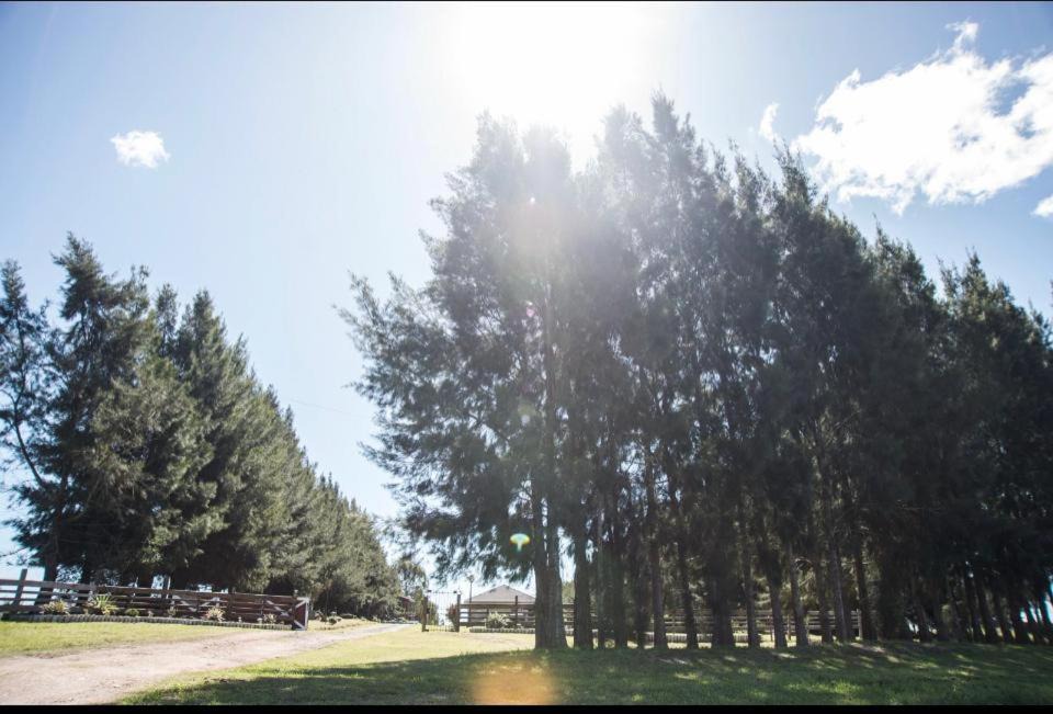Carlos Reyles House | Chacra Los Arándanos