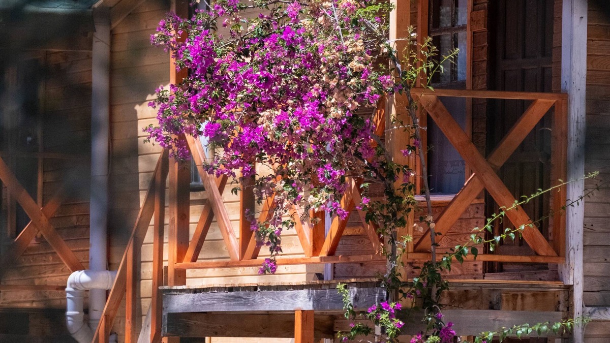 Kabak Valley House | Chakra Beach Kabak
