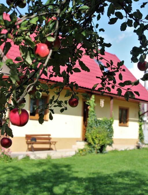 Bziny House | Chalúpka u Fulov