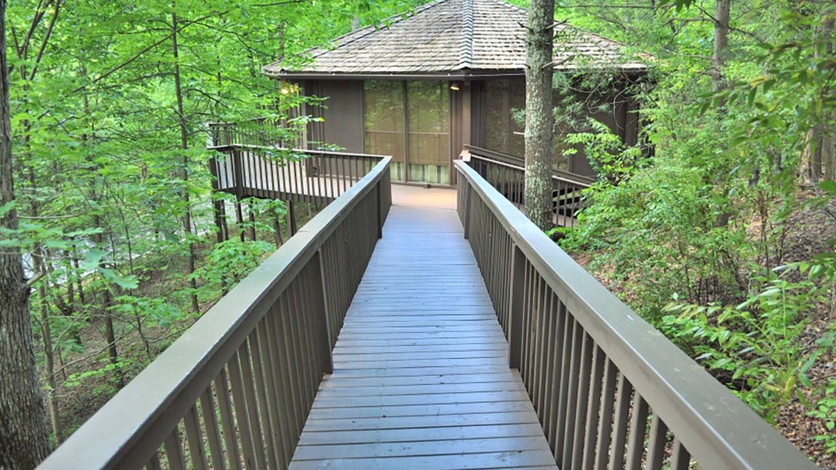 Big Canoe Ski Chalet | Chalet 35 - Unwind with Treetop Views, Splash at Community Pools, & Hike Trails