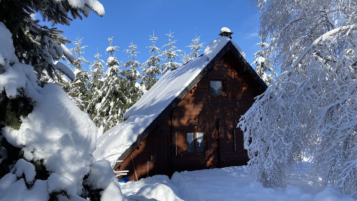 Tauves Ski Chalet | CHALET 70 m2 - 6 PERS - near MONT DORE/SUPER BESSE - 1000 m2 enclosed - WI-FI
