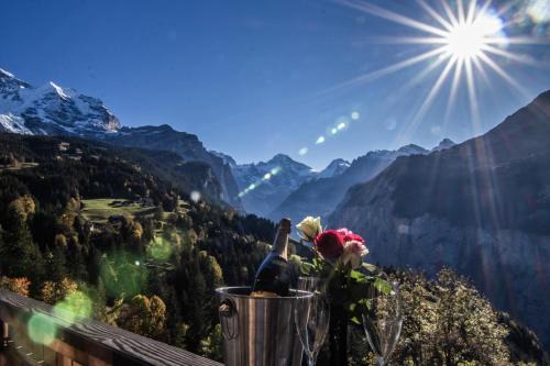 Wengen Apartment | Chalet Aargovia South