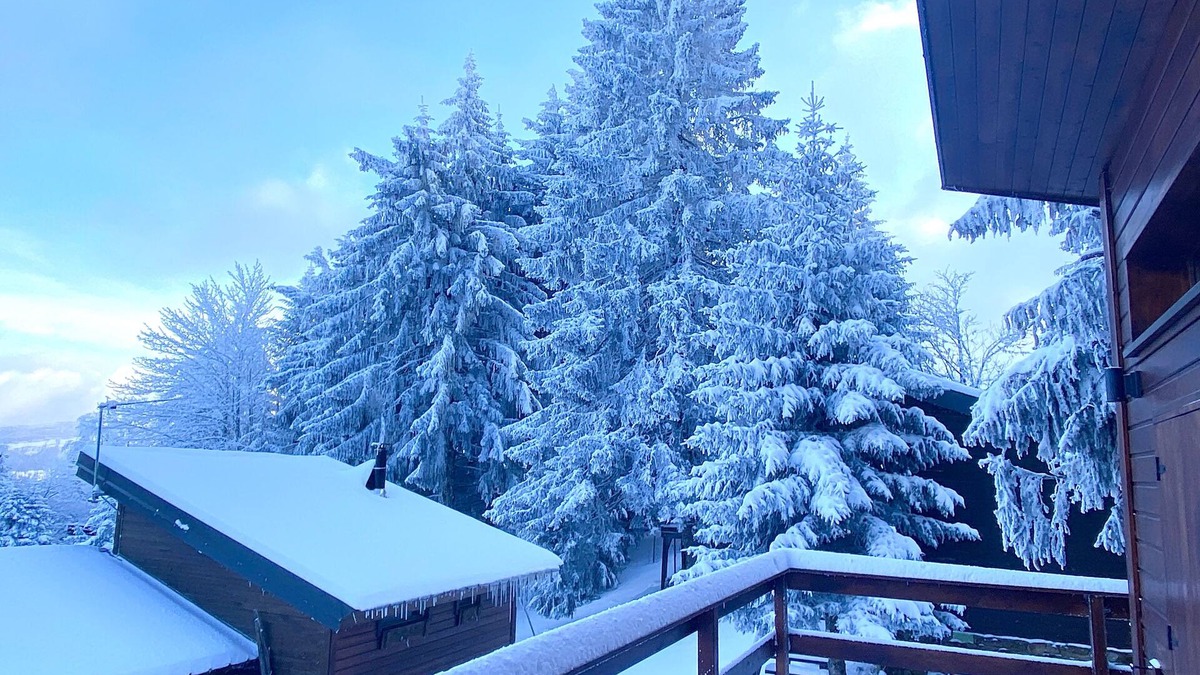 Aix-les-Bains Ski Chalet | CHALET AMID SNOW-COVERED FIR TREES