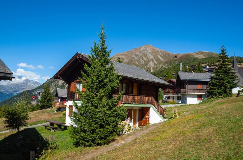 Rosswald Apartment | Chalet Bambi