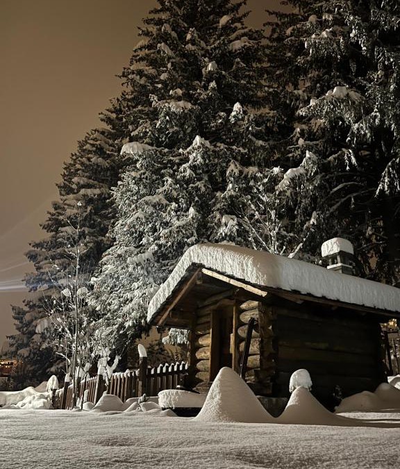 Courmayeur Apartment | Chalet Blanc "Le Flocon"