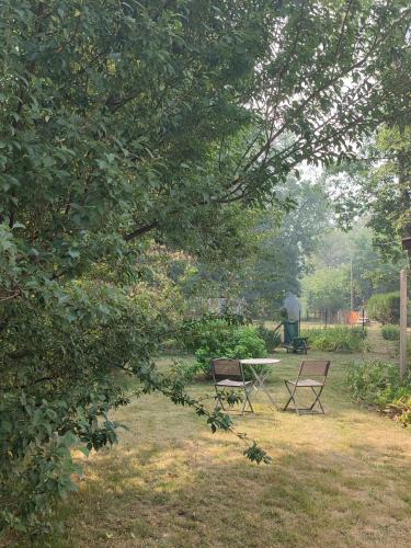 Pressignac House | Chalet dans la Foret.Adorable 1 bedroom chalet surrounded by woodland