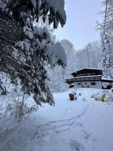 Mont Ste. Marie Ski Chalet | Chalet dans les arbres. 3 ch./trees house 3bdr
