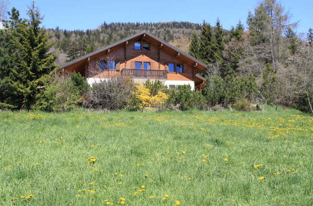 Arbaz House | Chalet Domaine de la Famille te Arbaz