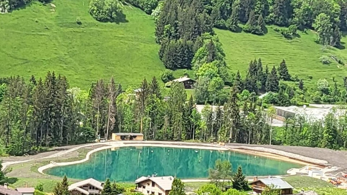 Praz-sur-Arly Ski Chalet | Chalet Edelweiss