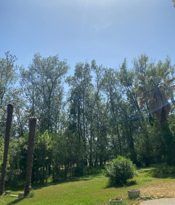 Saint-Jean Ski Chalet | Chalet en pleine nature