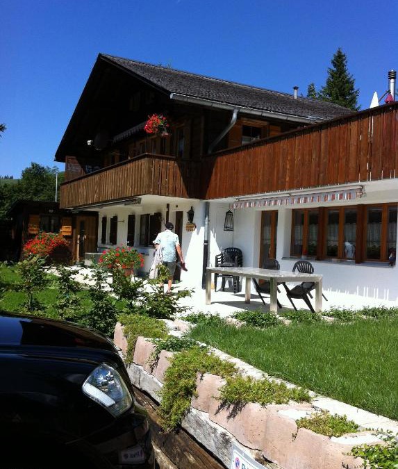 Untersteckholz Apartment | Chalet Erika