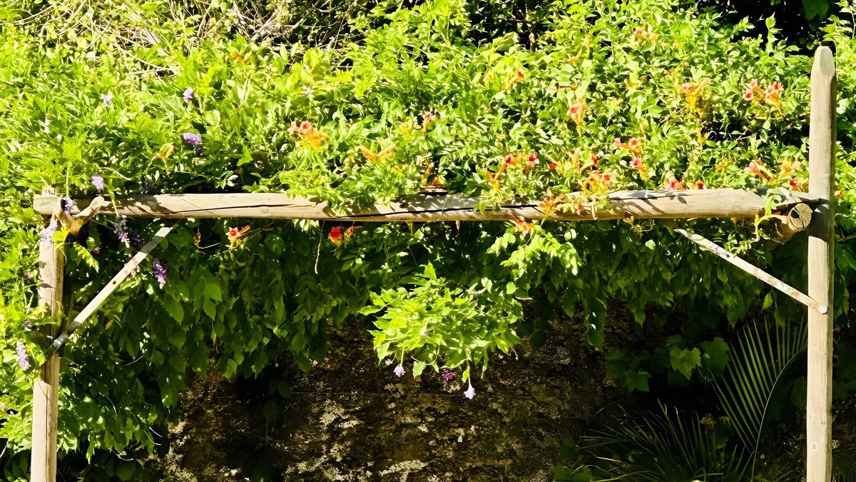Jimena de la Frontera House | Chalet 'Finca El Búho Oak Natural Park' with Sea Views, Wi-Fi and Air Conditioning
