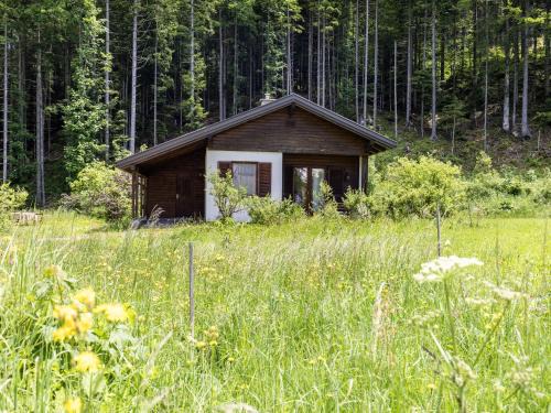 Bodental House | Chalet in Bodental near Ski Slopes