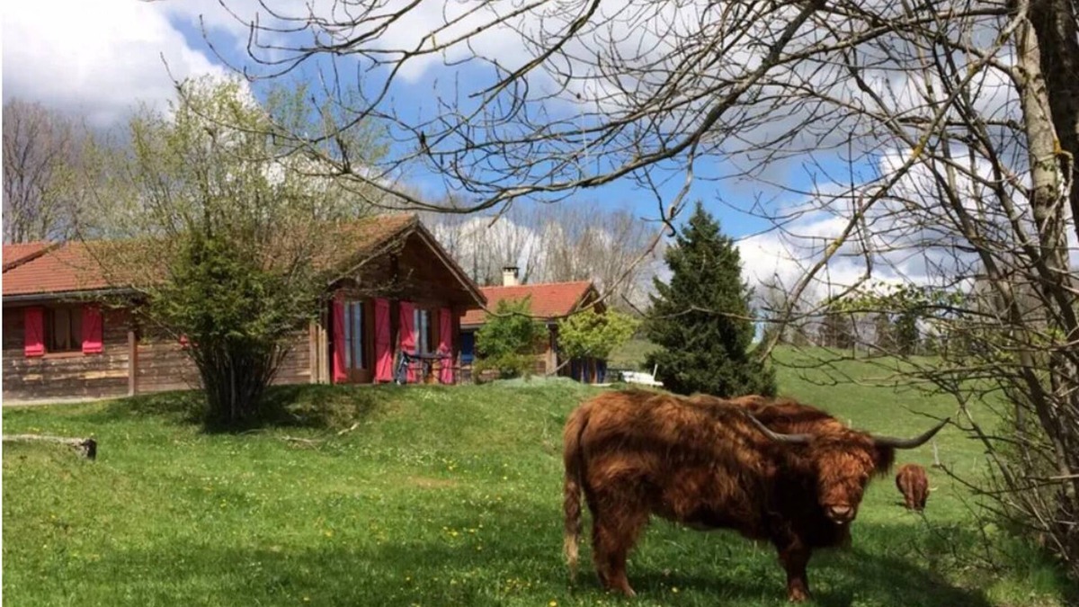 Lent Ski Chalet | Chalet in the heart of nature near a farm with animals