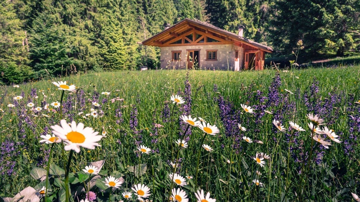 Ragoli House | Chalet inside the Nature for 4 People