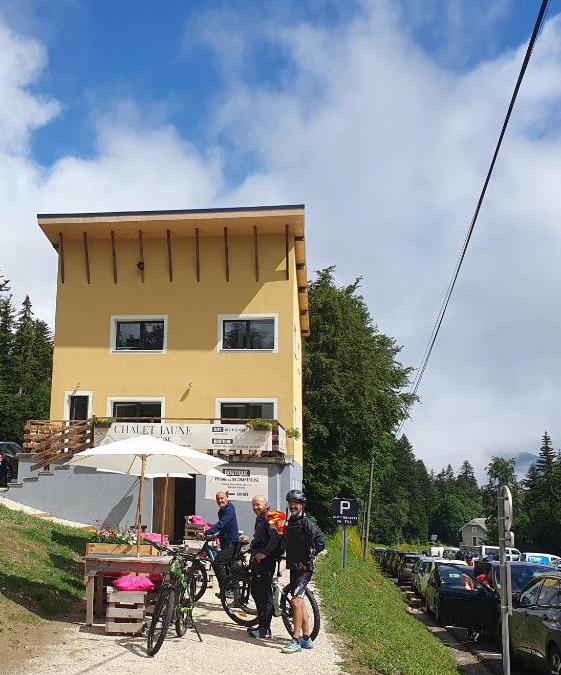 Sarcenas House | Chalet Jaune PINEA