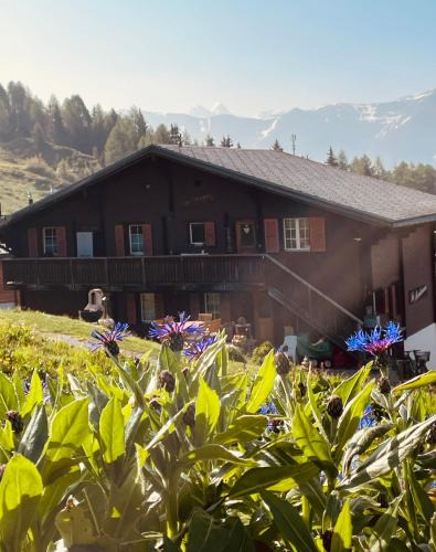 Bettmeralp Apartment | Chalet La Montanara