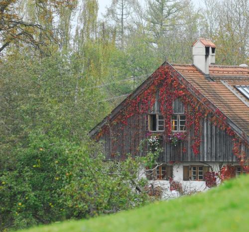 Pitzling Apartment | Chalet Landsberg