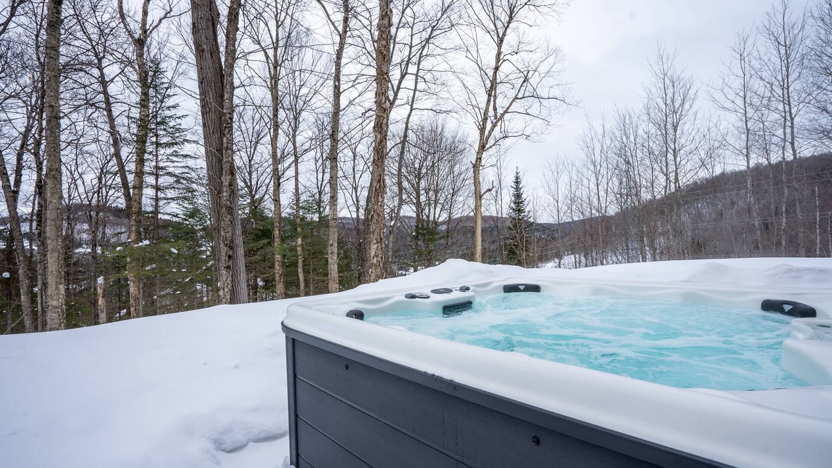 Saint-Faustin-Lac-Carre House | Chalet Le Greenwood - Mountain view & Private spa