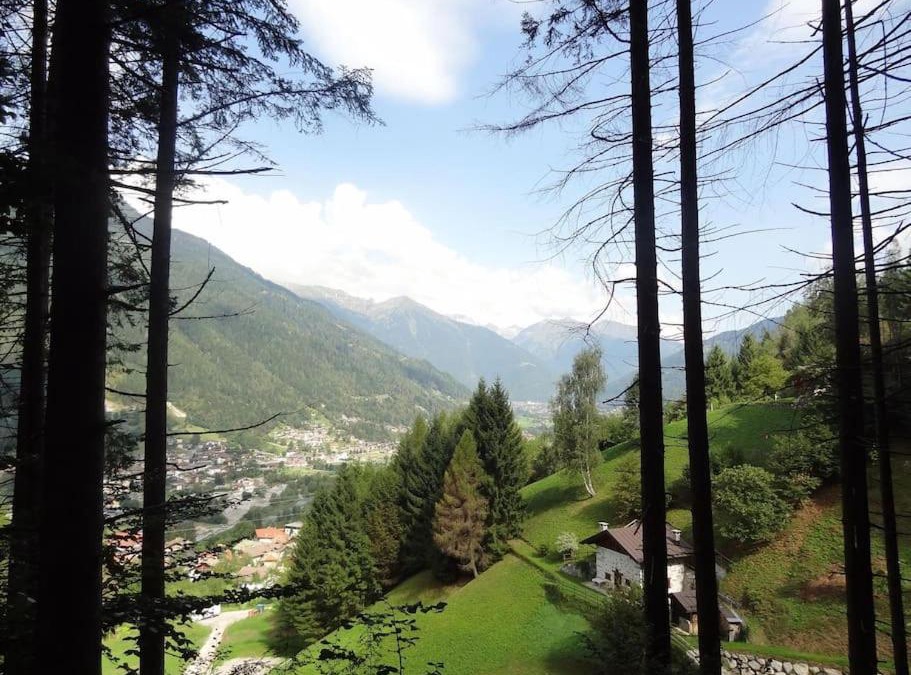 Bocenago Ski Chalet | Chalet Maso Salam