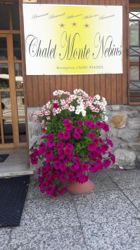Vinadio Hotel | Chalet Monte Nebius