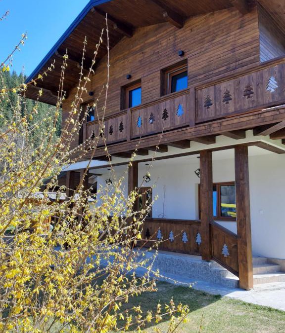 Fundu Moldovei House | Chalet Mugure de Brad