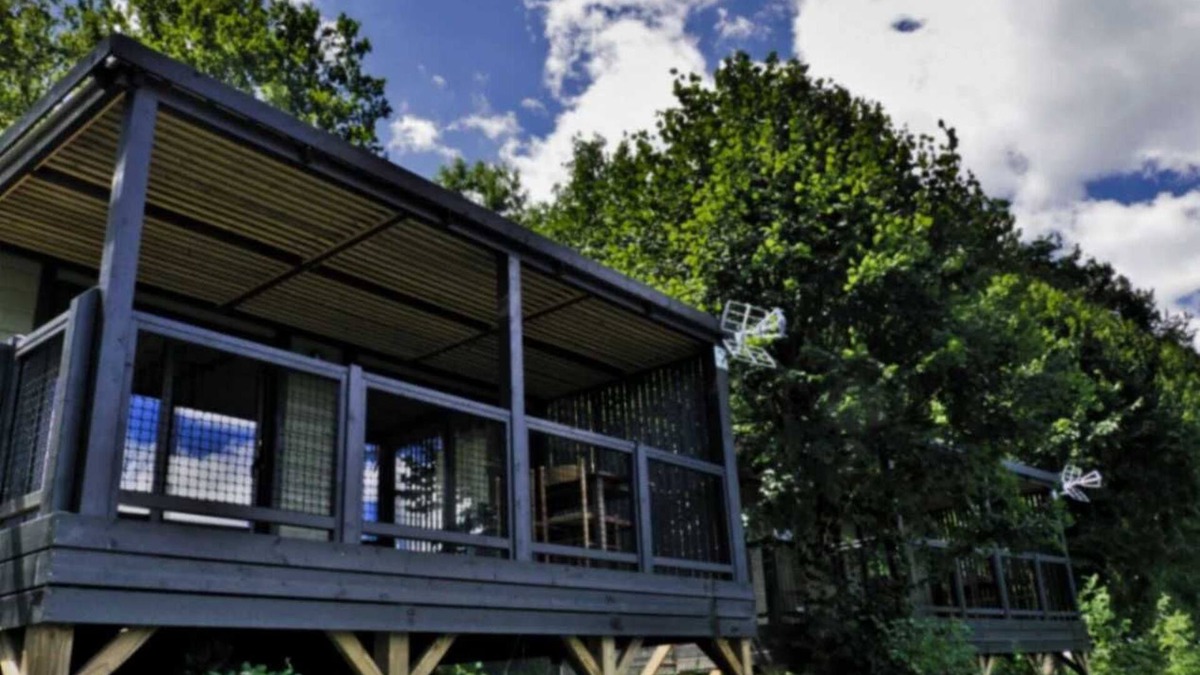 Vic-sur-Cere Ski Chalet | Chalet - Piscine - ccbbdab