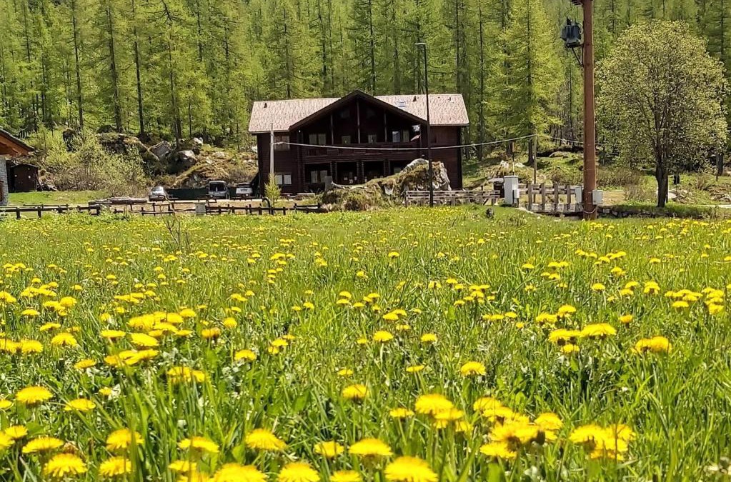 Valprato Soana Hotel | Chalet Rosa dei Monti