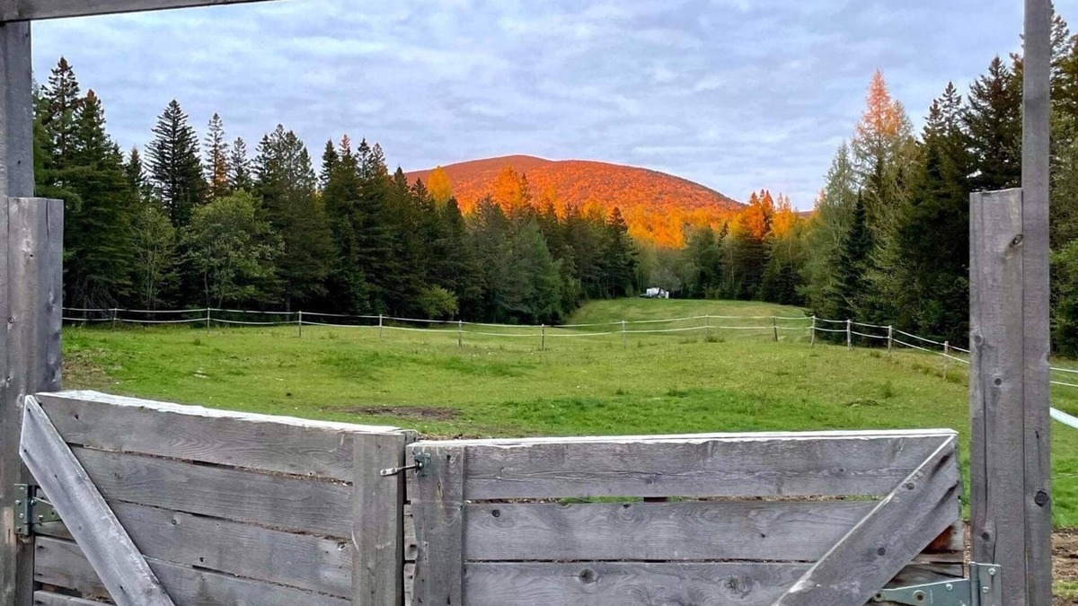 La Patrie Ski Chalet | Chalet Rustchic Le Madison at the foot of Mont Megantic