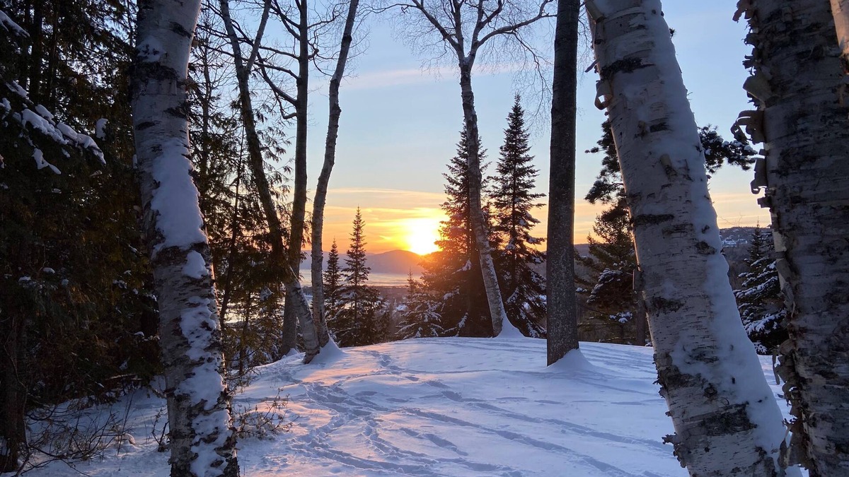 Les Eboulements Ski Chalet | Chalet sous les Pins