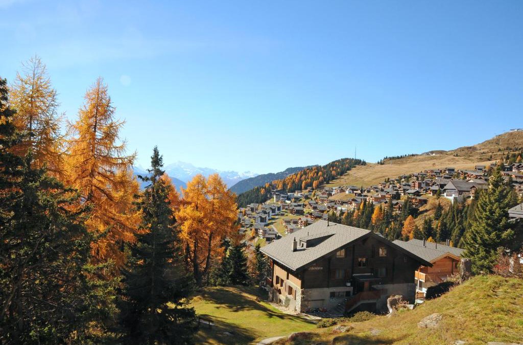 Bettmeralp Ski Chalet | Chalet Trollius