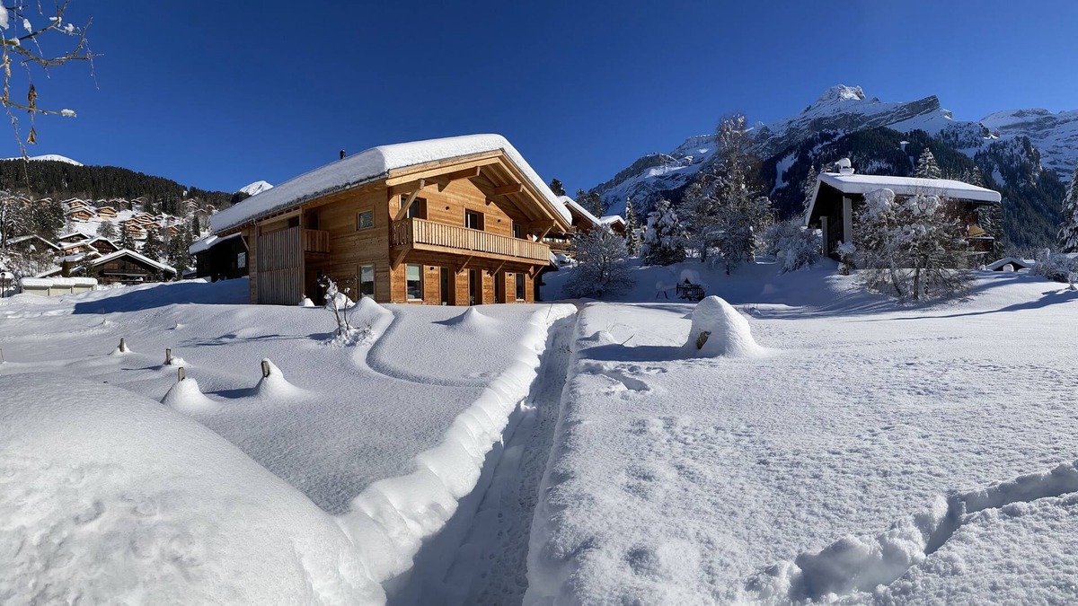Ormont-Dessus Ski Chalet | Chalet Vicky and Nino nice new apartment