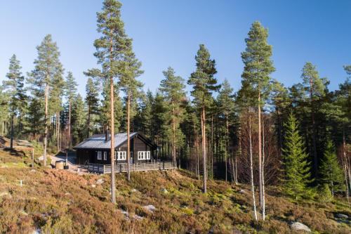 Vradal House | Chalet Vrådal - 8p - With Sauna & Hot Tub