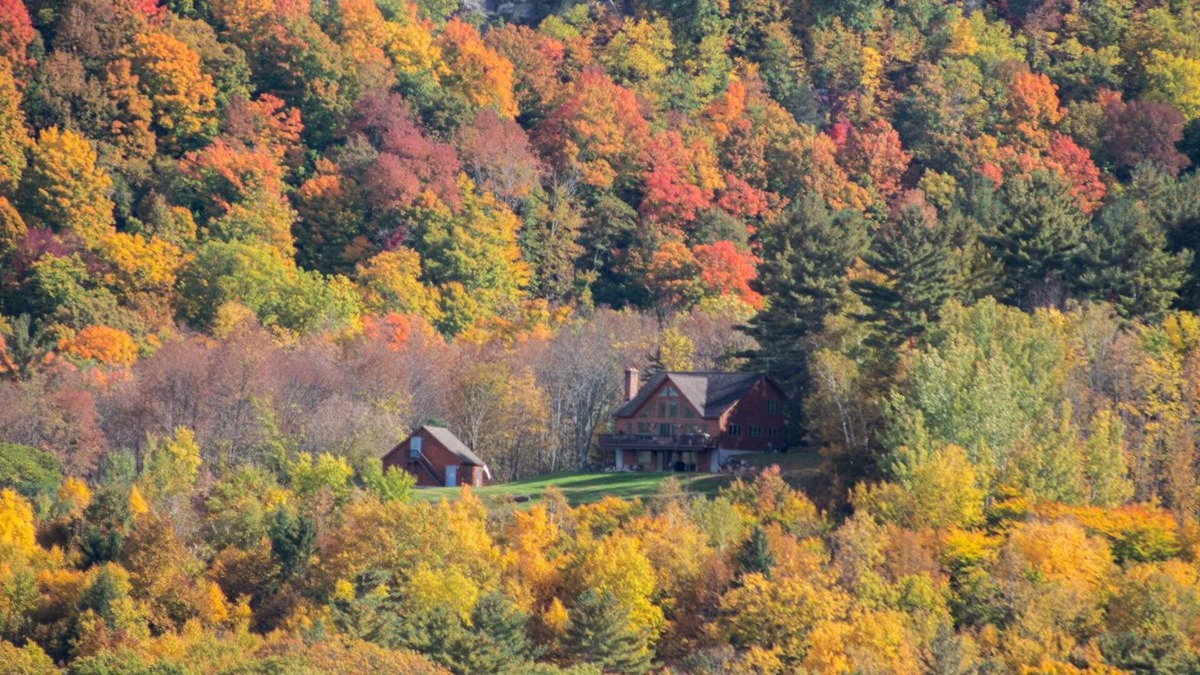 Wells House | Chalet w/Lake & MT views, Hot Tub, Pet friendly, <10mins to Lake & Golf
