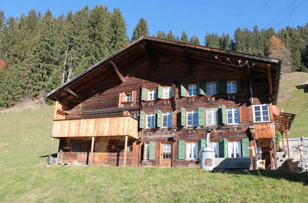 Lenk Apartment | Chalet Weissenberg