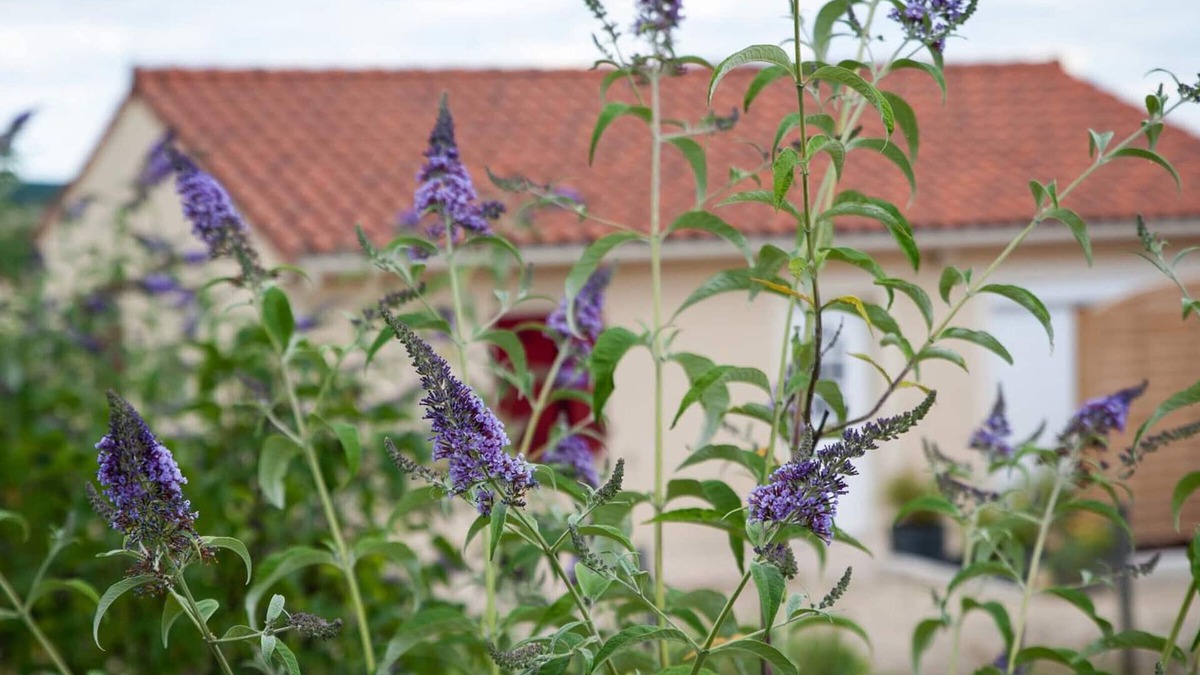 Fossemagne Cottage | Chaleureuse maison de plain-pied, proche Périgueux et Montignac, confort moderne et activités familiales