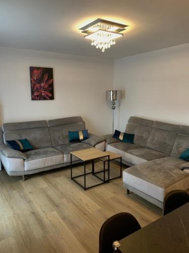 Albertville Apartment | Chaleureux T4,Netflix, petit déjeuner offert, boisson rafraîchissante pour la bienvenue, repas du soir fondue, raclette sur demande possibilité de le réserver à la semaine, contactez-nous en privé