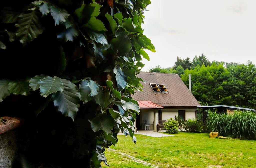 Zdarky House | Chaloupka Žďárky