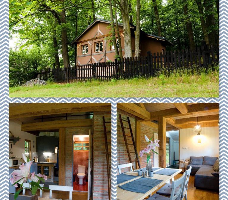 Mnisek House | Chalupa přehrada Fojtka