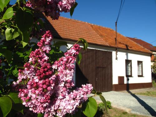 Radejov House | Chalupa U Vinaře