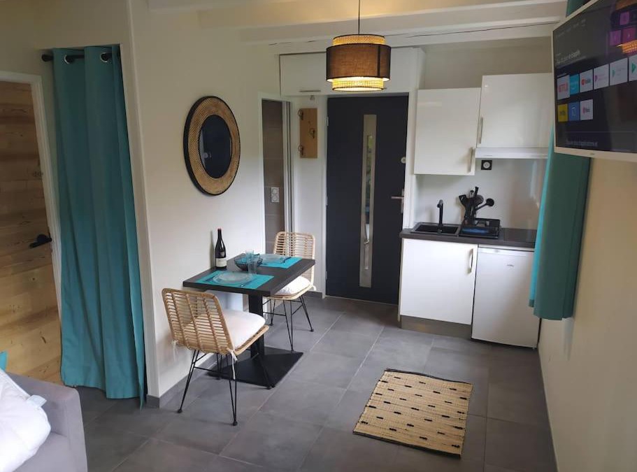Curienne Apartment | Chambre avec cuisine, entrée et terrasse privée !