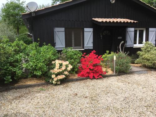 Taussat Bed & Breakfast | Chambre d'HÔTE Maison De L'amitié