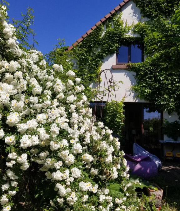 Westhouse Bed & Breakfast | chambre d'hôtes de charme, un temps en forêt