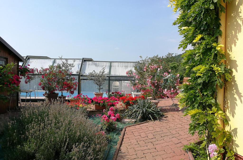 Mittelbergheim Bed & Breakfast | Chambre d'hôtes de la tulipe
