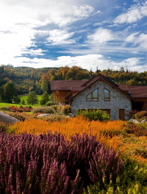 Le Hohwald Bed & Breakfast | Chambre d'hôtes La Forestière