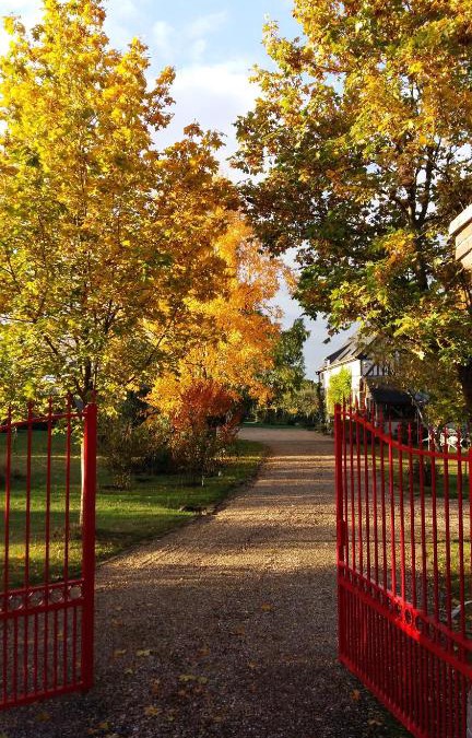 La Foret Du Parc Bed & Breakfast | Chambre d'hôtes - Le jardin des Patissons